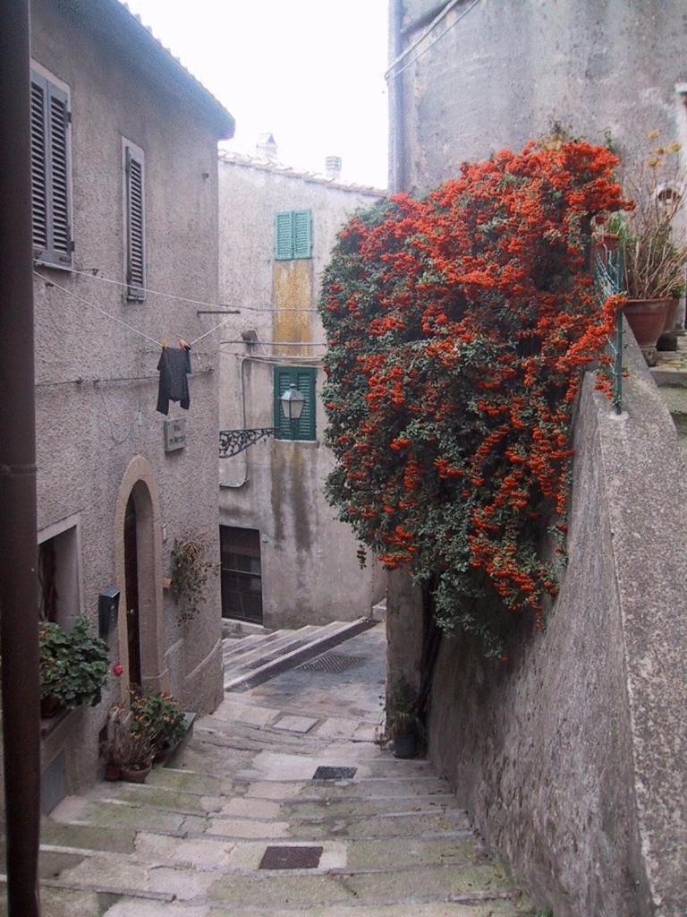 Locanda La Pieve Semproniano Εξωτερικό φωτογραφία